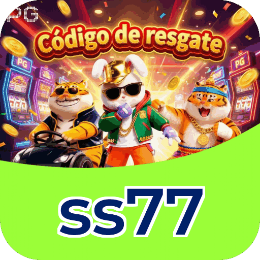 Interface ss77